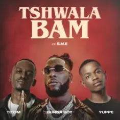 TitoM & Yuppe — Tshwala Bam [feat. S.N.E]