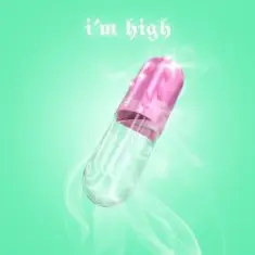 Slayyyter — I'm High