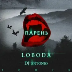 Svetlana Loboda — Парень (dj Antonio remix)