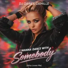 DJ Dark & CAMILLE — I Wanna Dance With Somebody (Who Loves Me)