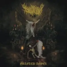 Dollhaver — Spitting Moths