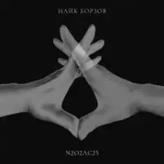 Найк Борзов — Полёт (Acoustic Version)