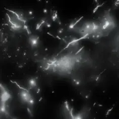 RAW NOIZE — Versatile - Hartekk TikTok version