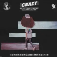 Lost Frequencies & Zonderling — Crazy