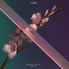Flume — Never Be Like You (Feat. Kai)
