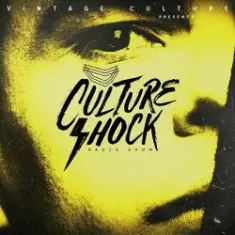 Vintage Culture — Culture Shock