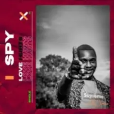 S.P.Y — Love Hurts