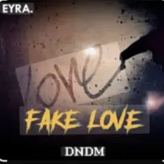 DNDM — Fake Love