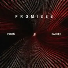 DVBBS & Badger — Promises