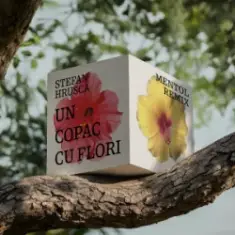 Stefan Hrusca — Un copac cu flori (Mentol Remix)