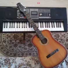 EiZ — Shake lone Guitarist