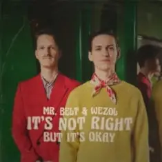 Mr. Belt & Wezol — It's Not Right (But It's Ok)