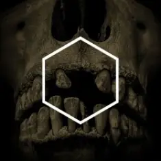 Lustmord — Insignificance