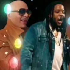 Pitbull feat. Stephen Marley — Options
