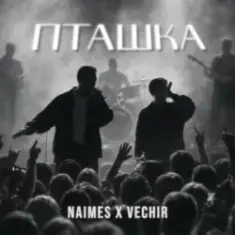 NAIMES & VECHIR — пташка