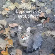 Вороняче око — котята (prod. anticøn)