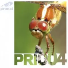 R-Tem — Voiceless (Z05 Mix)