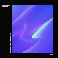 MalYar & Y_K — Picaflo