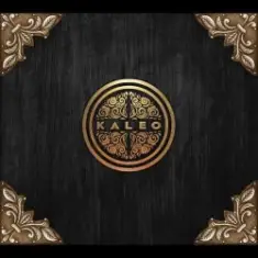 Kaleo — Broken Bones