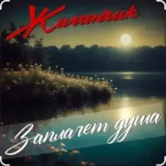 Жиганчик — Заплачет душа