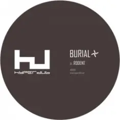 Burial — Rodent