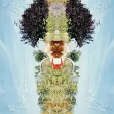 Pei-Yu Hung — Scatter