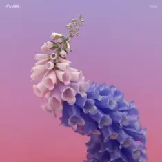 Flume feat. Little Dragon — Take A Chance