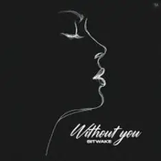 Bitwake — Without You