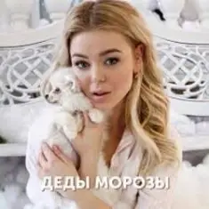 Алина Гросу — Деды морозы