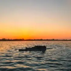 Disclosure — The Sun Comes Up Tremendous