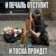 Ноль — Человек И Кошка