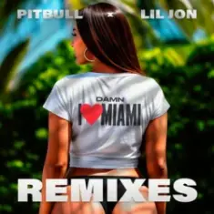 Damn I Love Miami (DJ Laz Miami Bass Remix & DJ Julian & Danny D)