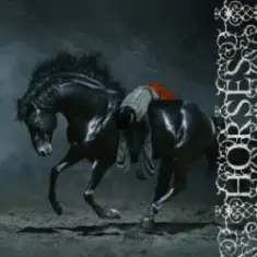 Winona Oak — Horses