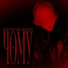 Kalush Orchestra & Simbochka — Чому