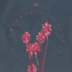 Feduk feat. Элджей — Розовое вино