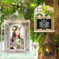 Akiko Shikata — Kuuhaku no Mori