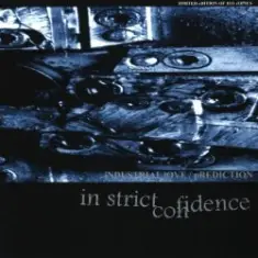 In Strict Confidence — Industrial Love (Counterfied Remix By Aghast View)