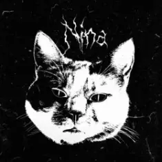 Disappointment & Hate