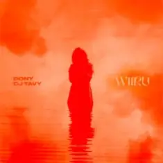 Dony & DJ TAVY — WIIRU