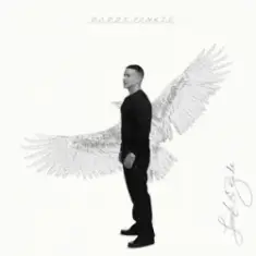 Daddy Yankee — Toy Hermoso