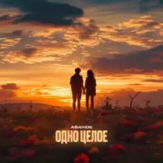 ASANDE — Одно целое