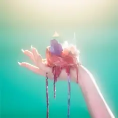 Rei Yasuda — Hikari no Sumika