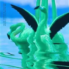 Felix Jaehn & Shouse — Walk With Me