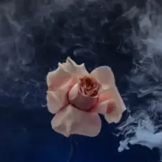 Valeriia Vovk — Сигарети