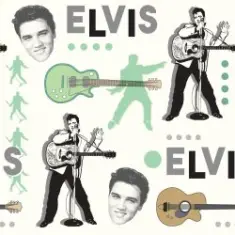 Elvis Presley — Such a Night