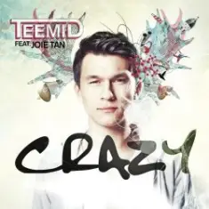 Teemid — Crazy (Club Edit) (Feat. Joie Tan)