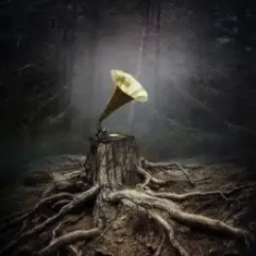 Борис Гребенщиков — Цветы На Огороде (Петр Мамонов)