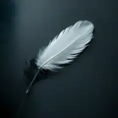 Enarvynn — Падший герой