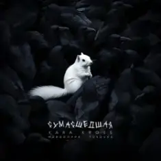 KARA KROSS — Сумасшедшая (Remix)