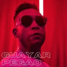 Don Omar — Guaya Guaya